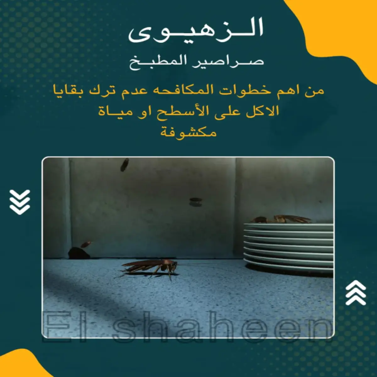 صورة من أعمالنا رقم 108
